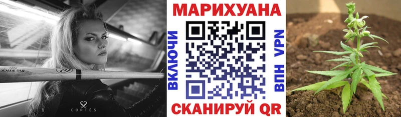 Шишки марихуана сатива  МЕГА онион  Хабаровск 